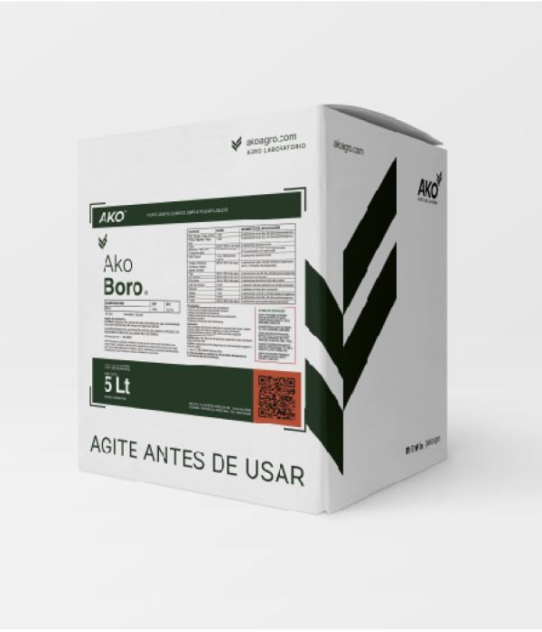 Ako Boro