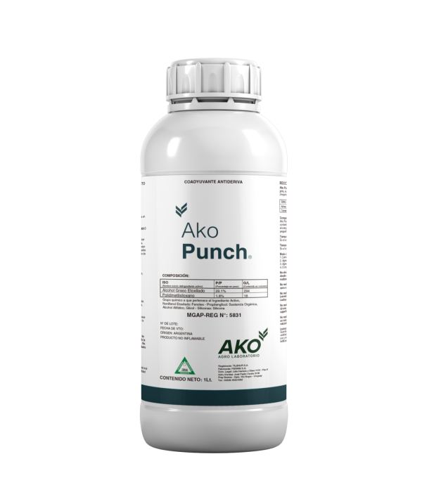 Ako Punch