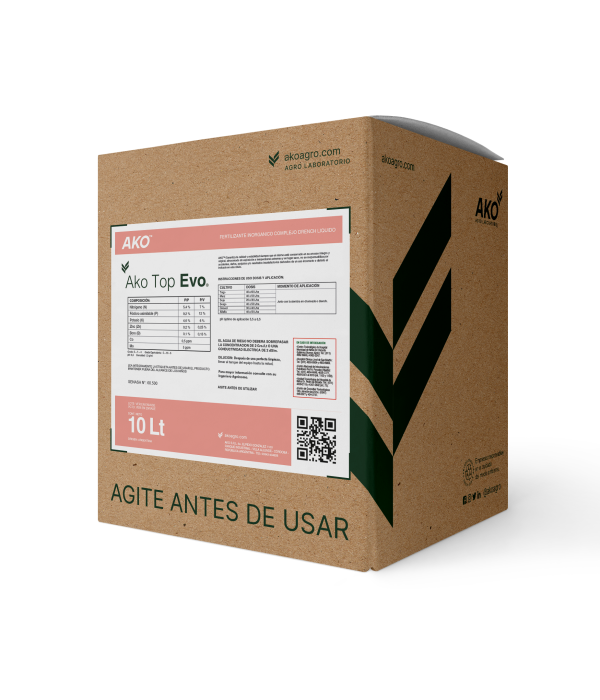 CAJA-Ako Top Evo